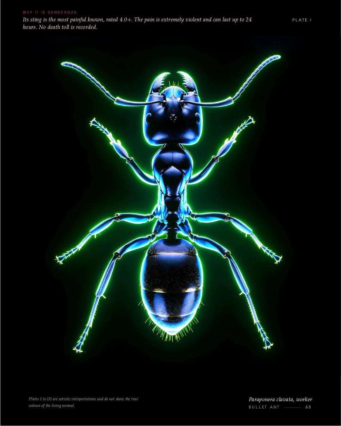 Bullet Ant rendered as a dark body with a blue-green glow, second view