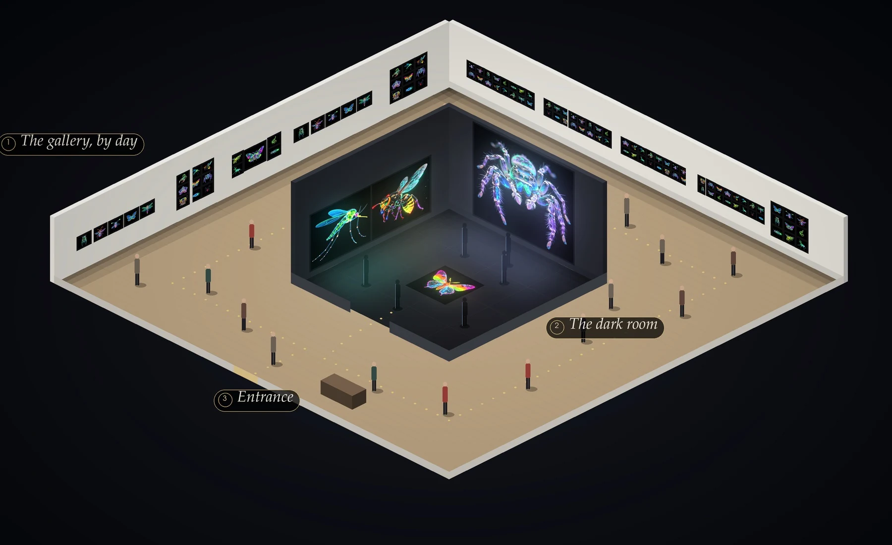 An exhibition hall of 400 square metres seen from above: a bright gallery of insect prints running round a dark room with a five-metre work