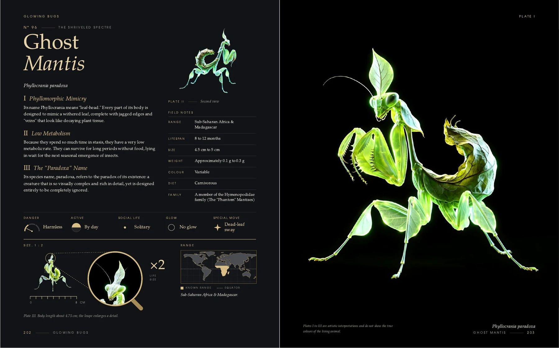 The two pages on the Ghost Mantis in the book Glowing Bugs