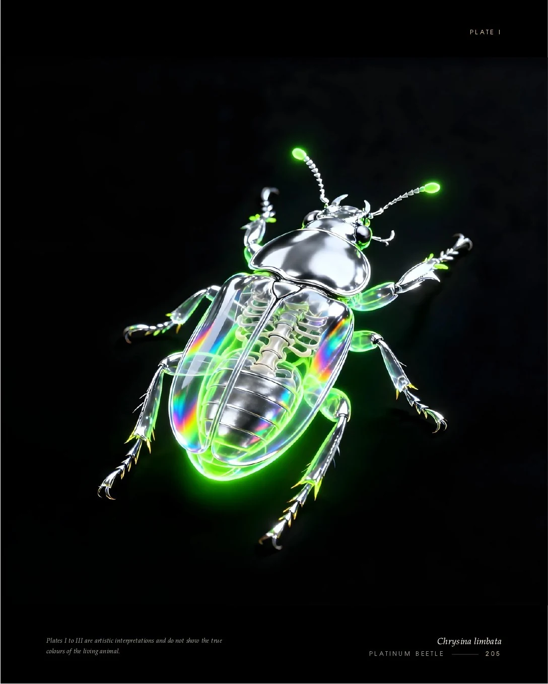 Platinum Beetle rendered in glowing light, second view
