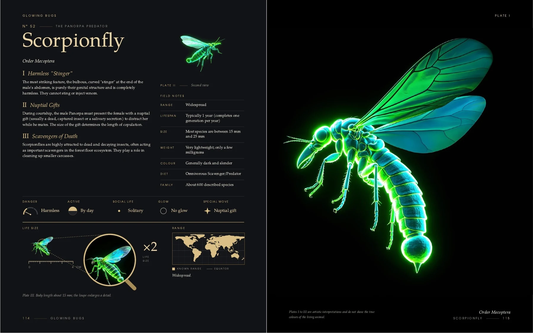 The two pages on the Scorpionfly in the book Glowing Bugs